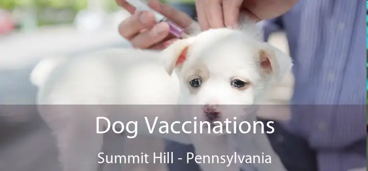 Dog Vaccinations Summit Hill - Pennsylvania