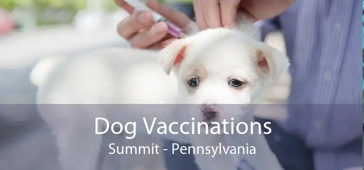 Dog Vaccinations Summit - Pennsylvania