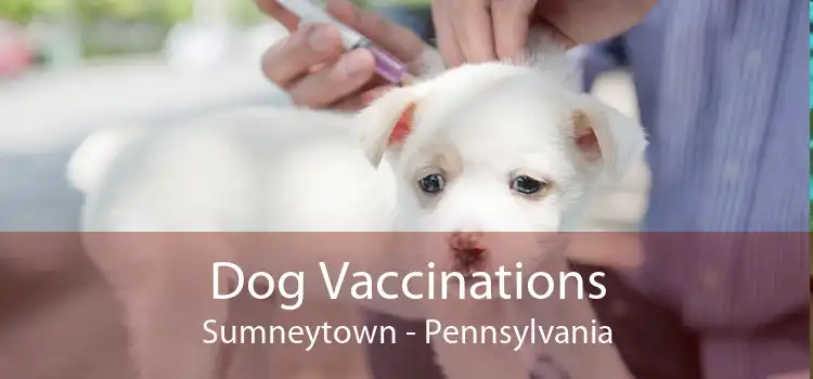 Dog Vaccinations Sumneytown - Pennsylvania
