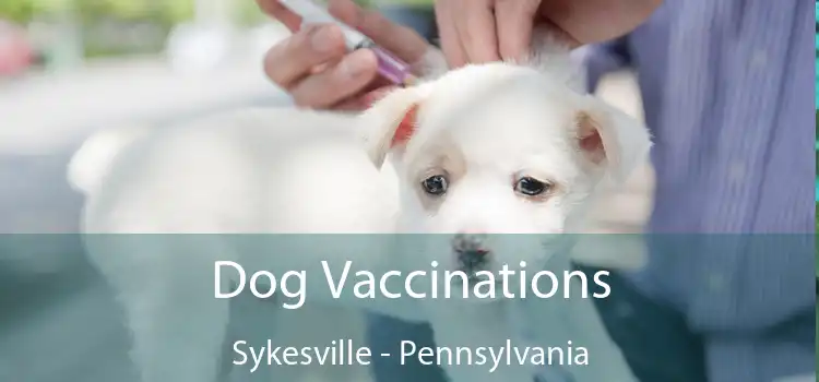 Dog Vaccinations Sykesville - Pennsylvania