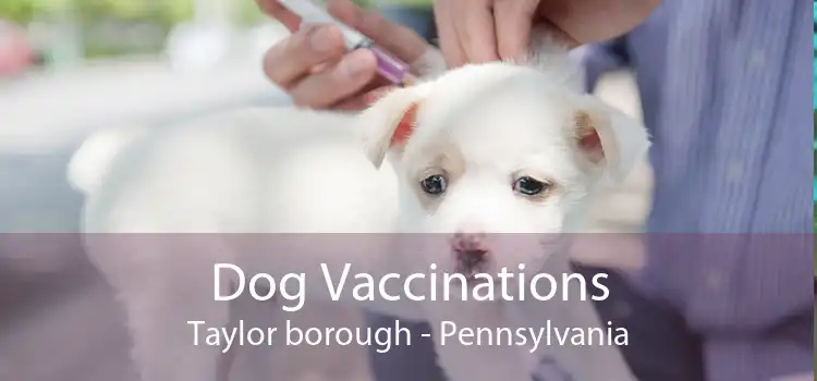 Dog Vaccinations Taylor borough - Pennsylvania