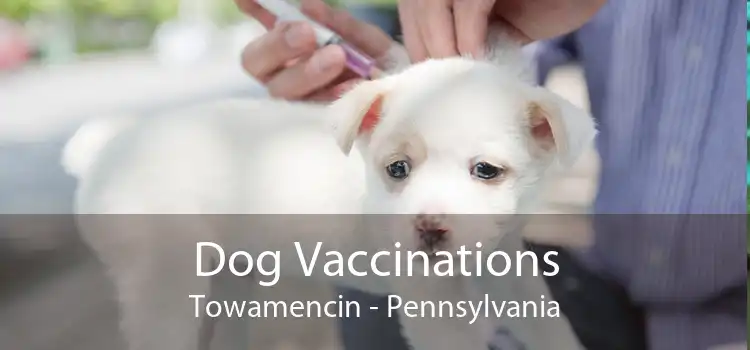Dog Vaccinations Towamencin - Pennsylvania