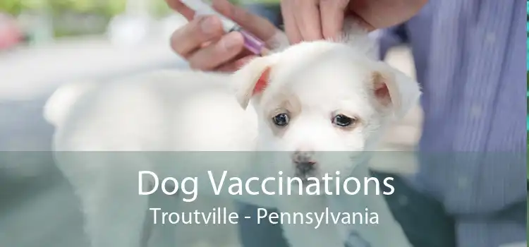 Dog Vaccinations Troutville - Pennsylvania