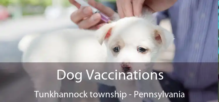 Dog Vaccinations Tunkhannock township - Pennsylvania