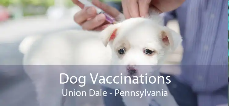 Dog Vaccinations Union Dale - Pennsylvania