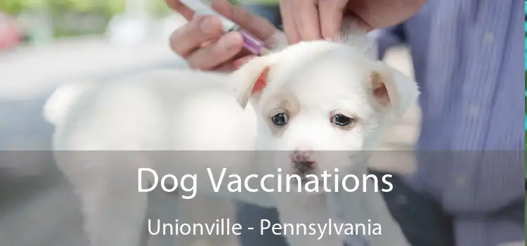 Dog Vaccinations Unionville - Pennsylvania