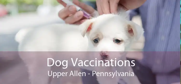 Dog Vaccinations Upper Allen - Pennsylvania