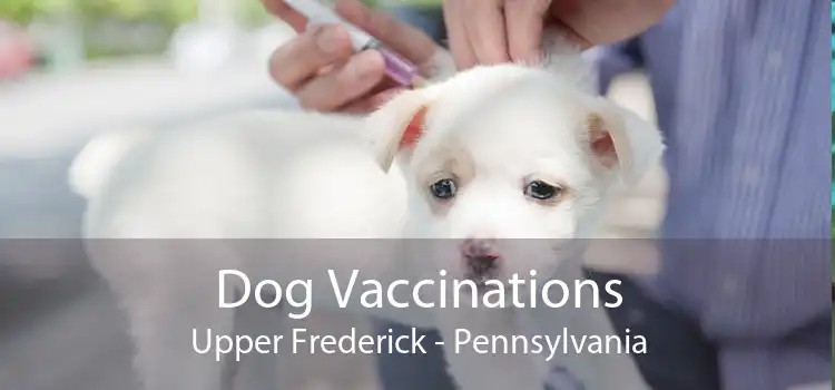 Dog Vaccinations Upper Frederick - Pennsylvania