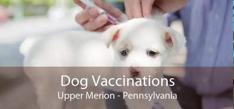 Dog Vaccinations Upper Merion - Pennsylvania