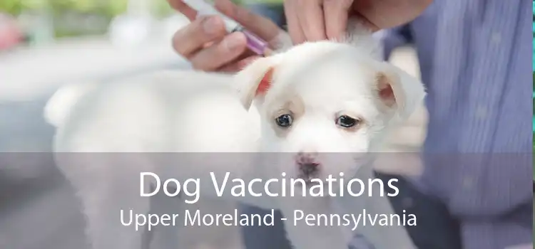 Dog Vaccinations Upper Moreland - Pennsylvania