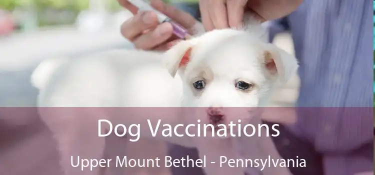 Dog Vaccinations Upper Mount Bethel - Pennsylvania