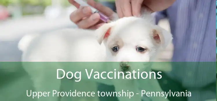 Dog Vaccinations Upper Providence township - Pennsylvania