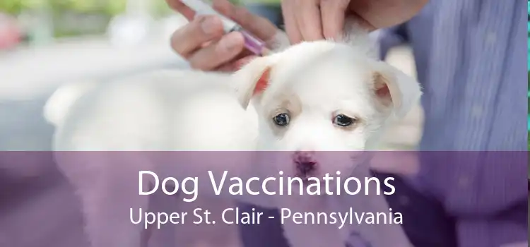 Dog Vaccinations Upper St. Clair - Pennsylvania