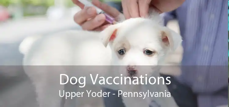 Dog Vaccinations Upper Yoder - Pennsylvania