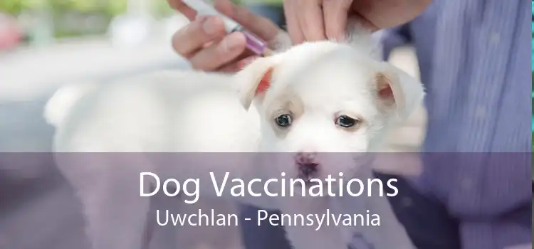 Dog Vaccinations Uwchlan - Pennsylvania