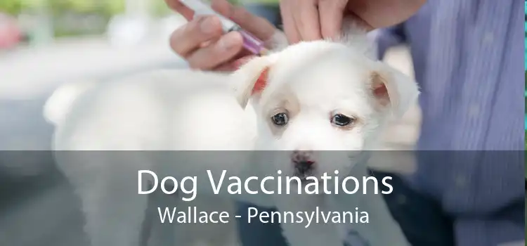 Dog Vaccinations Wallace - Pennsylvania
