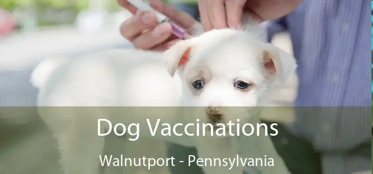 Dog Vaccinations Walnutport - Pennsylvania