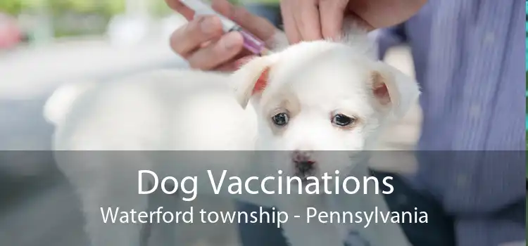 Dog Vaccinations Waterford township - Pennsylvania
