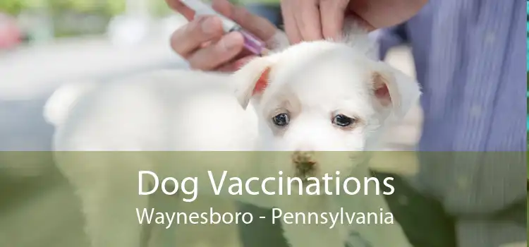 Dog Vaccinations Waynesboro - Pennsylvania
