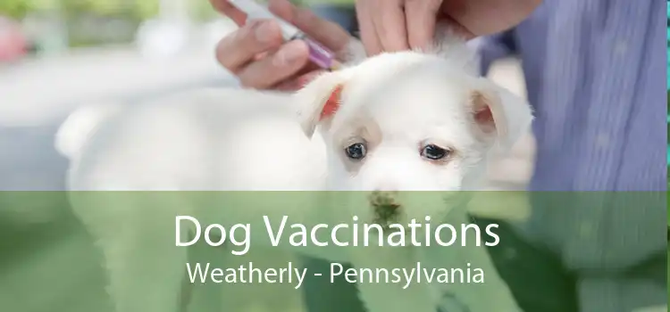 Dog Vaccinations Weatherly - Pennsylvania