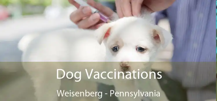 Dog Vaccinations Weisenberg - Pennsylvania