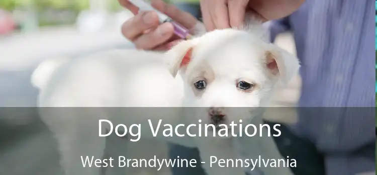 Dog Vaccinations West Brandywine - Pennsylvania