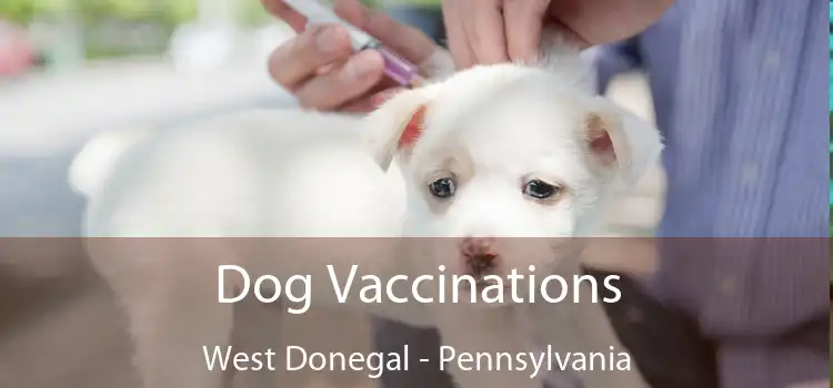 Dog Vaccinations West Donegal - Pennsylvania