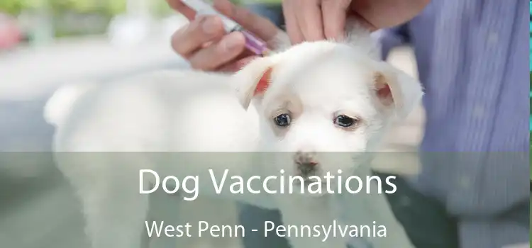 Dog Vaccinations West Penn - Pennsylvania