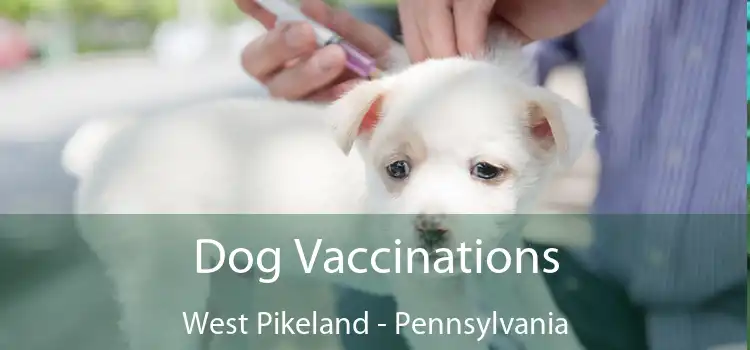 Dog Vaccinations West Pikeland - Pennsylvania