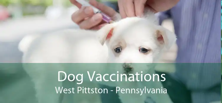 Dog Vaccinations West Pittston - Pennsylvania