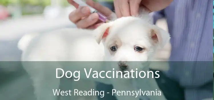 Dog Vaccinations West Reading - Pennsylvania