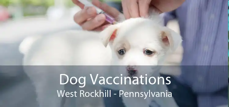 Dog Vaccinations West Rockhill - Pennsylvania