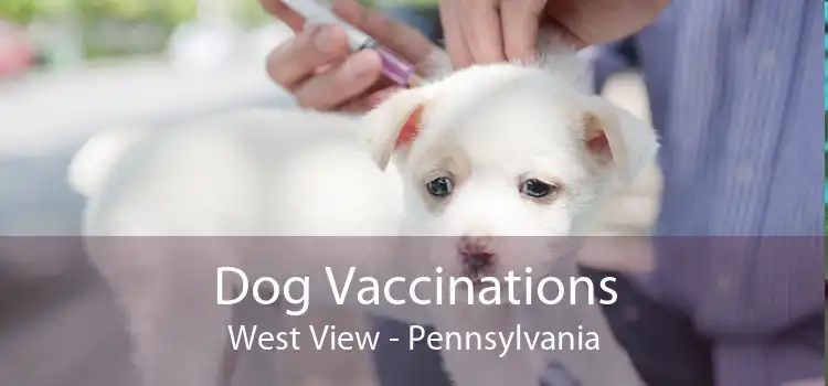 Dog Vaccinations West View - Pennsylvania