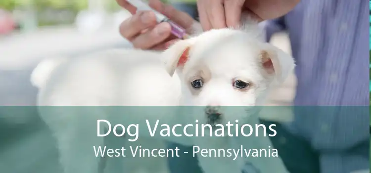 Dog Vaccinations West Vincent - Pennsylvania