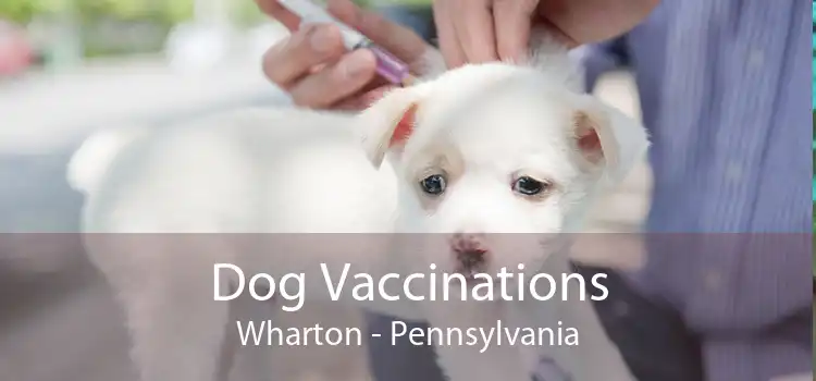 Dog Vaccinations Wharton - Pennsylvania