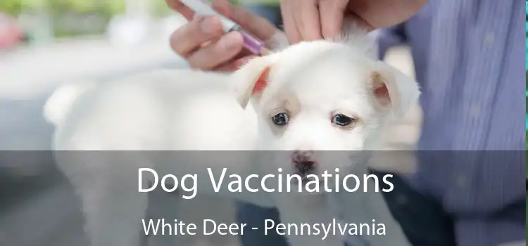 Dog Vaccinations White Deer - Pennsylvania