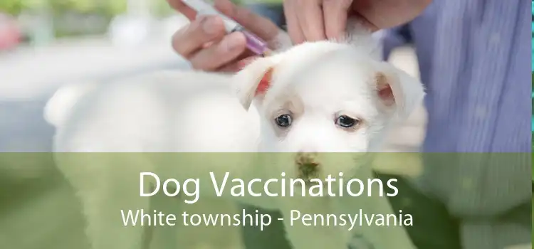 Dog Vaccinations White township - Pennsylvania