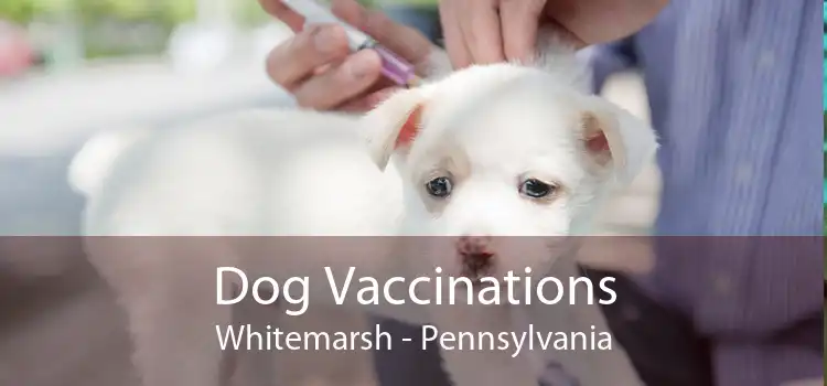Dog Vaccinations Whitemarsh - Pennsylvania