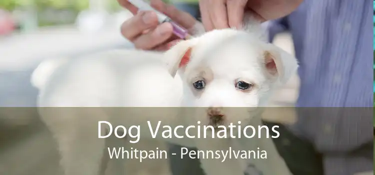 Dog Vaccinations Whitpain - Pennsylvania