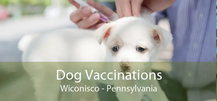Dog Vaccinations Wiconisco - Pennsylvania