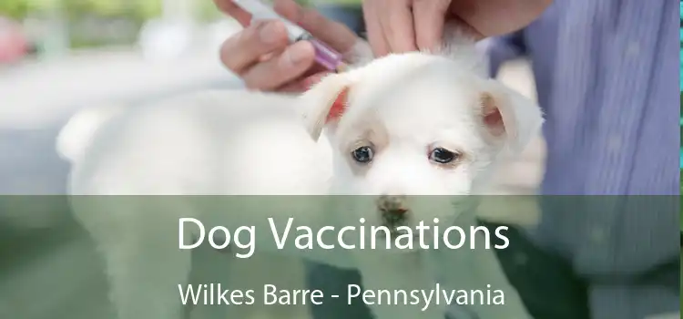 Dog Vaccinations Wilkes Barre - Pennsylvania