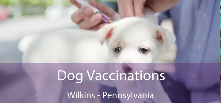 Dog Vaccinations Wilkins - Pennsylvania