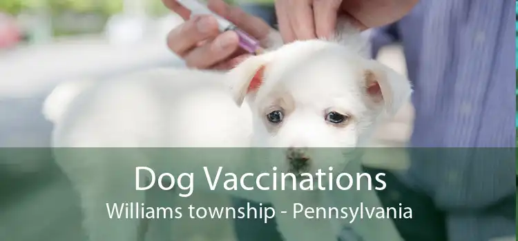 Dog Vaccinations Williams township - Pennsylvania