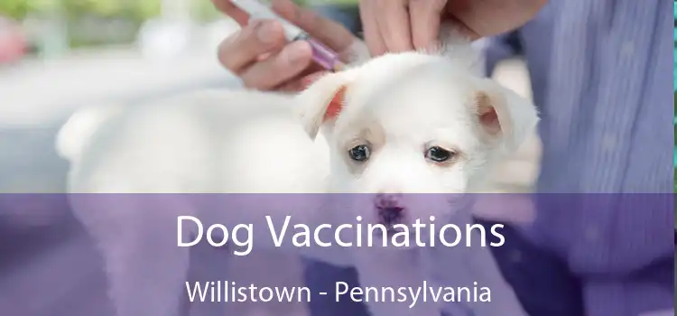 Dog Vaccinations Willistown - Pennsylvania