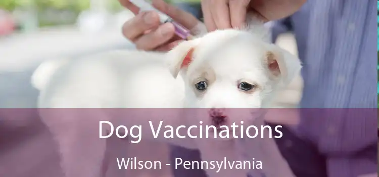 Dog Vaccinations Wilson - Pennsylvania