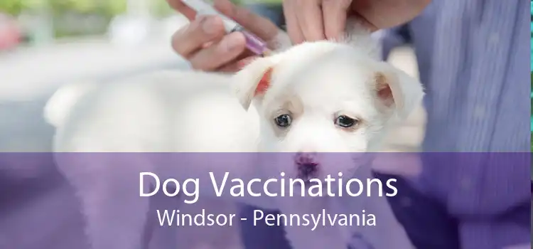Dog Vaccinations Windsor - Pennsylvania