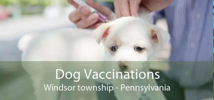 Dog Vaccinations Windsor township - Pennsylvania