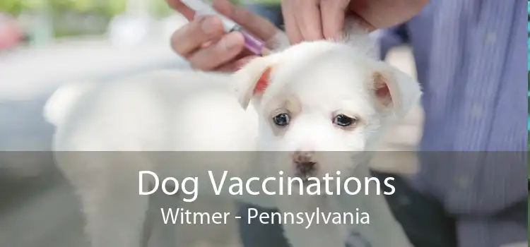 Dog Vaccinations Witmer - Pennsylvania