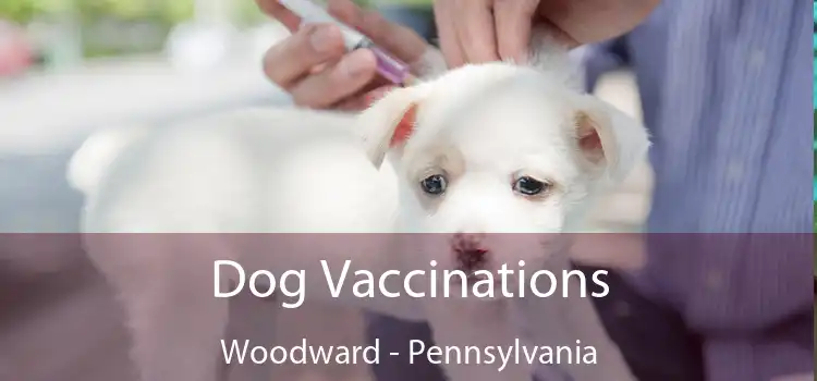 Dog Vaccinations Woodward - Pennsylvania