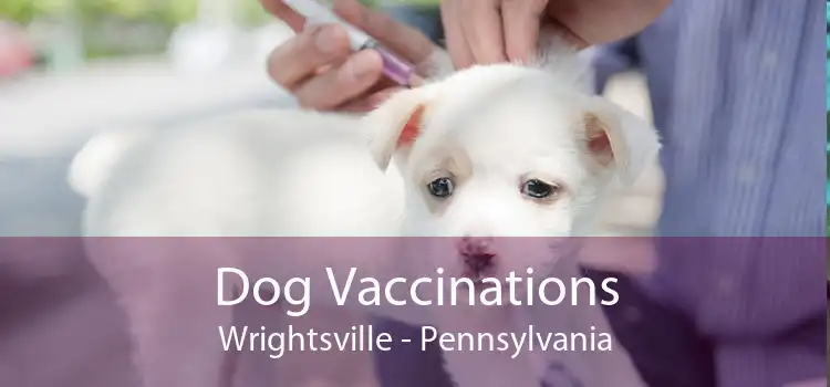 Dog Vaccinations Wrightsville - Pennsylvania